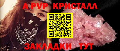 СК Тара
