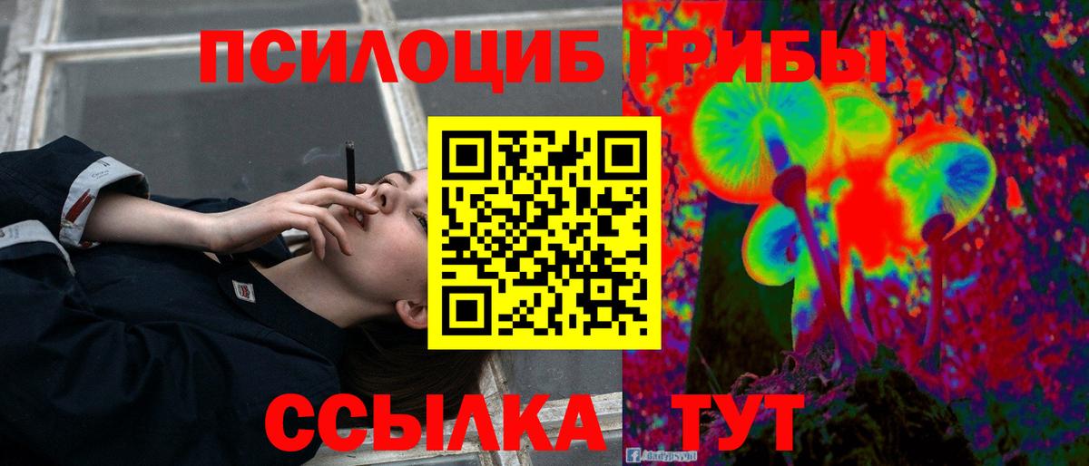 хочу наркоту  Вход с VPN  Нарткала  Галлюциногенные грибы мицелий 